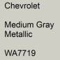 Preview: Chevrolet, Medium Gray Metallic, WA7719.